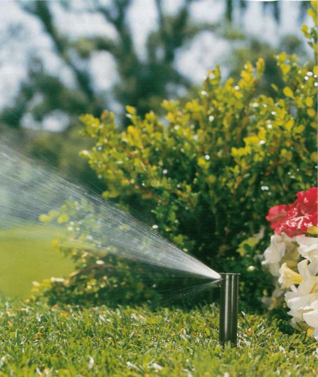 Sprinkler head spraying water across a Tyler TX lawn at sunrise